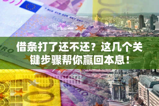武汉借条打了还不还？这几个关键步骤帮你赢回本息！