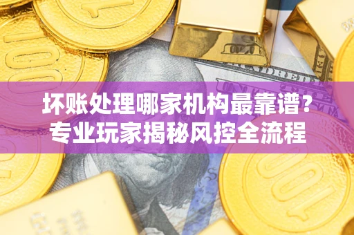 武汉坏账处理哪家机构最靠谱？专业玩家揭秘风控全流程
