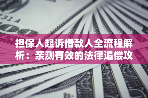 武汉担保人起诉借款人全流程解析：亲测有效的法律追偿攻略