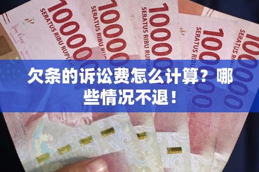 武汉欠条的诉讼费怎么计算？哪些情况不退！