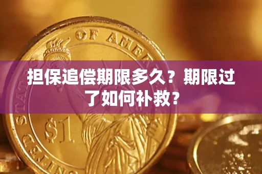 武汉担保追偿期限多久？期限过了如何补救？