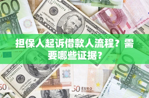 武汉担保人起诉借款人流程？需要哪些证据？