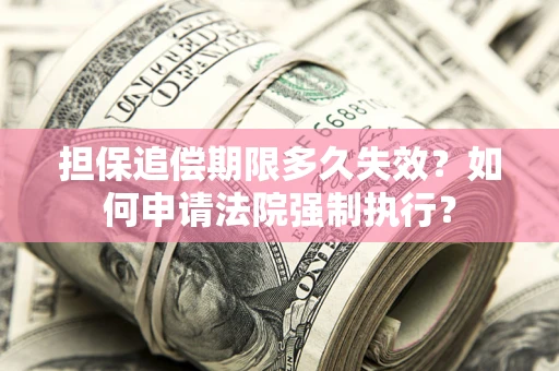 武汉担保追偿期限多久失效？如何申请法院强制执行？