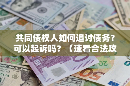 武汉共同债权人如何追讨债务？可以起诉吗？（速看合法攻略）