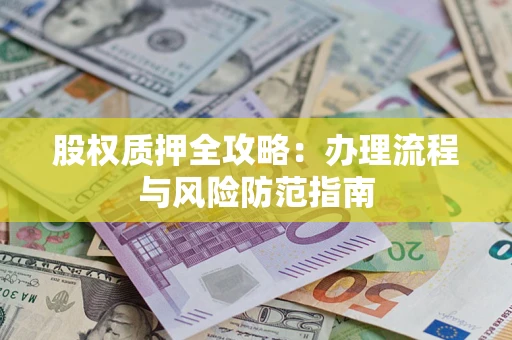 武汉股权质押全攻略：办理流程与风险防范指南
