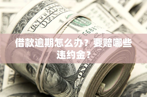 武汉借款逾期怎么办？要赔哪些违约金？